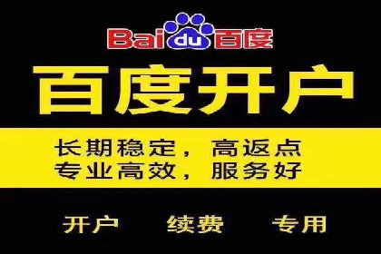 解析sem代运营公司经典案例：如何实现ROI最大化